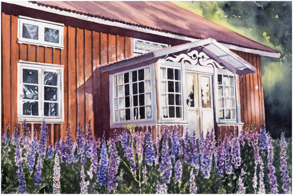 Ödehus med lupiner akvarell 33x50cm - Mats Ljungbacke